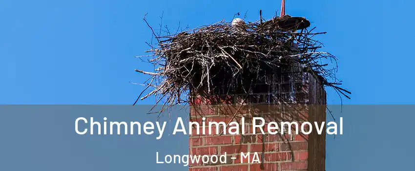 Chimney Animal Removal Longwood - MA