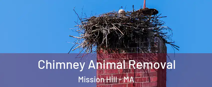 Chimney Animal Removal Mission Hill - MA