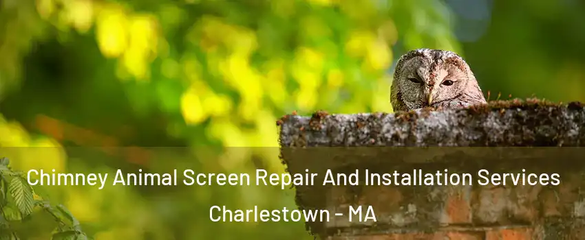 Chimney Animal Screen Repair And Installation Services Charlestown - MA