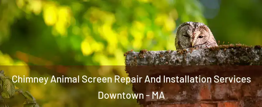 Chimney Animal Screen Repair And Installation Services Downtown - MA