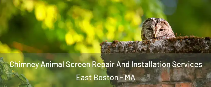 Chimney Animal Screen Repair And Installation Services East Boston - MA