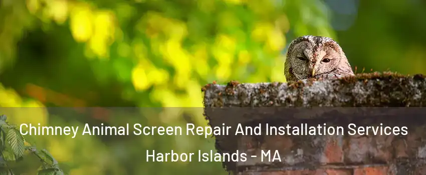 Chimney Animal Screen Repair And Installation Services Harbor Islands - MA