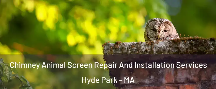 Chimney Animal Screen Repair And Installation Services Hyde Park - MA