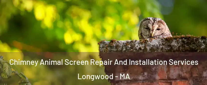 Chimney Animal Screen Repair And Installation Services Longwood - MA