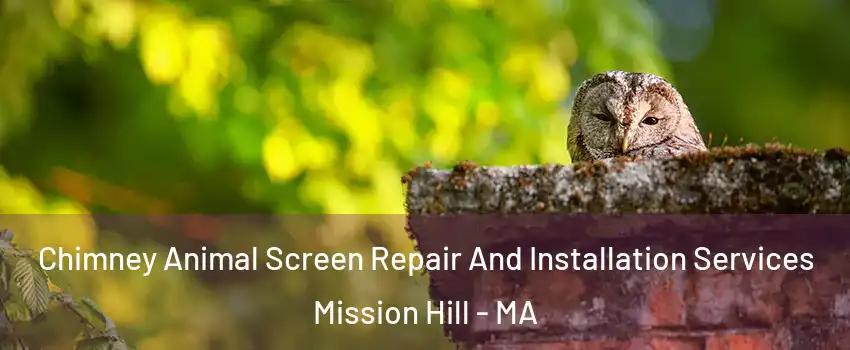 Chimney Animal Screen Repair And Installation Services Mission Hill - MA