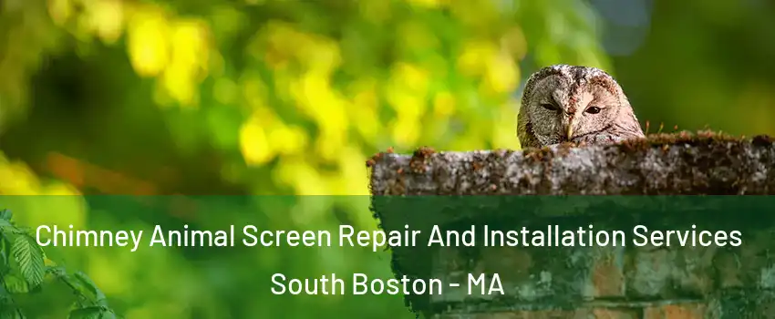 Chimney Animal Screen Repair And Installation Services South Boston - MA