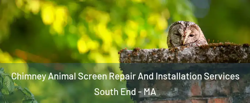 Chimney Animal Screen Repair And Installation Services South End - MA