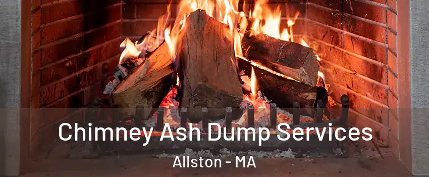 Chimney Ash Dump Services Allston - MA