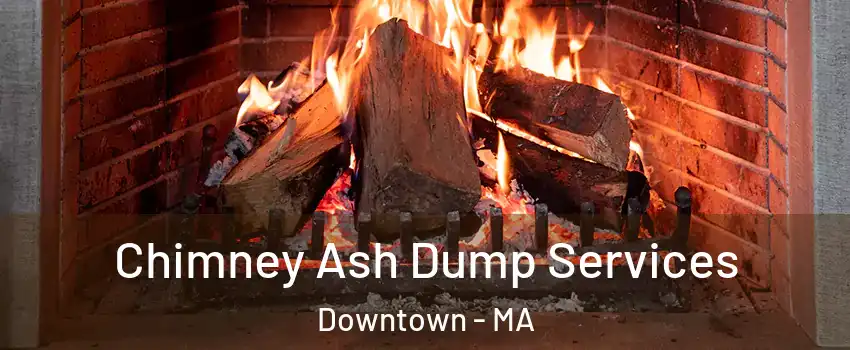 Chimney Ash Dump Services Downtown - MA