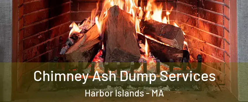 Chimney Ash Dump Services Harbor Islands - MA