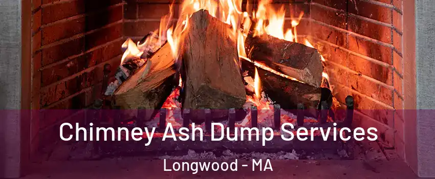 Chimney Ash Dump Services Longwood - MA