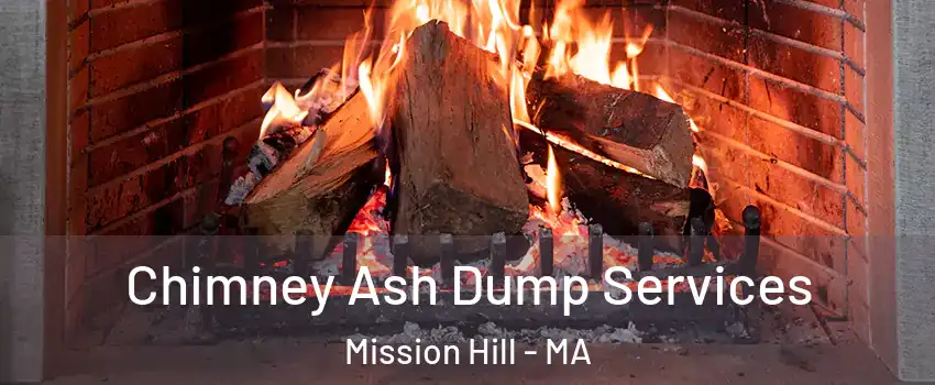 Chimney Ash Dump Services Mission Hill - MA