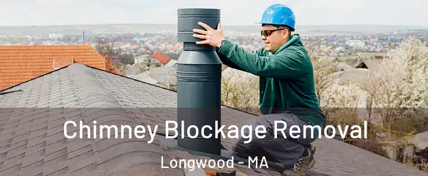 Chimney Blockage Removal Longwood - MA