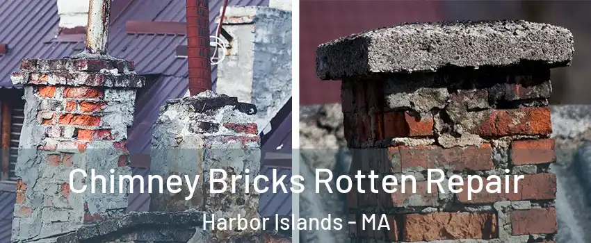 Chimney Bricks Rotten Repair Harbor Islands - MA