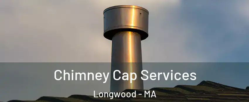 Chimney Cap Services Longwood - MA