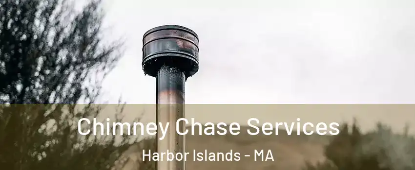 Chimney Chase Services Harbor Islands - MA