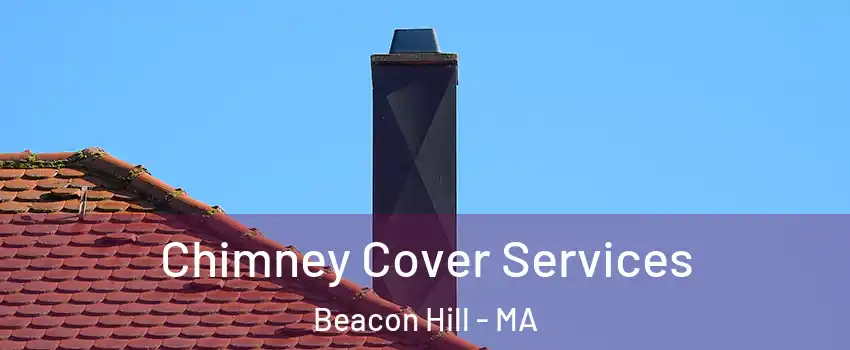 Chimney Cover Services Beacon Hill - MA