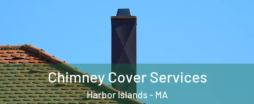 Chimney Cover Services Harbor Islands - MA