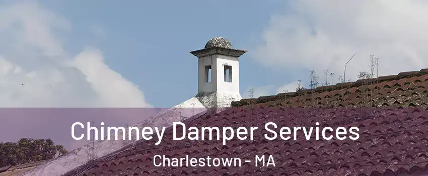 Chimney Damper Services Charlestown - MA