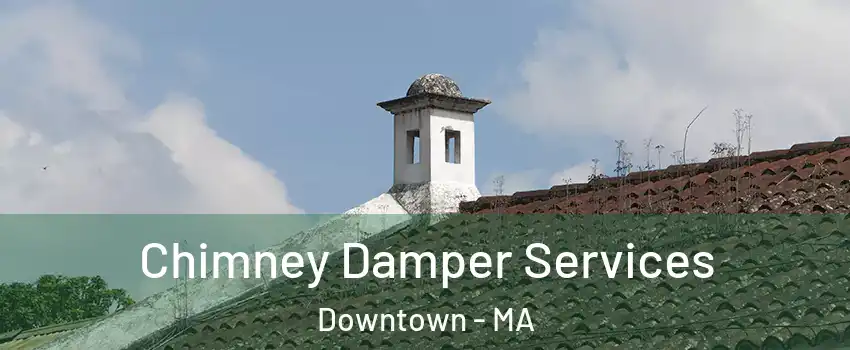 Chimney Damper Services Downtown - MA