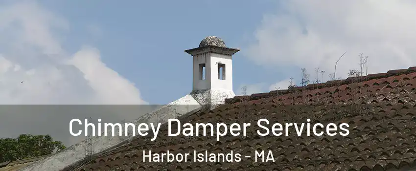 Chimney Damper Services Harbor Islands - MA