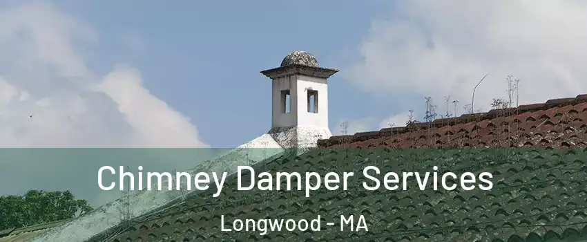 Chimney Damper Services Longwood - MA