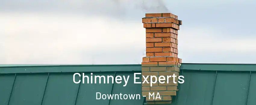 Chimney Experts Downtown - MA