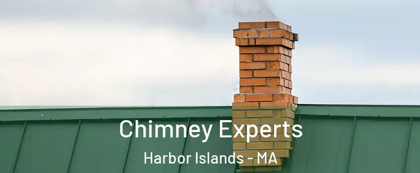 Chimney Experts Harbor Islands - MA