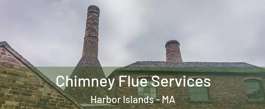 Chimney Flue Services Harbor Islands - MA