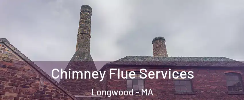 Chimney Flue Services Longwood - MA