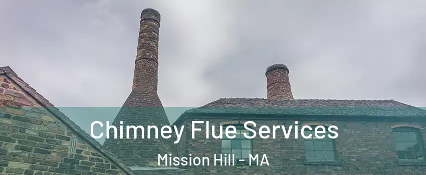 Chimney Flue Services Mission Hill - MA