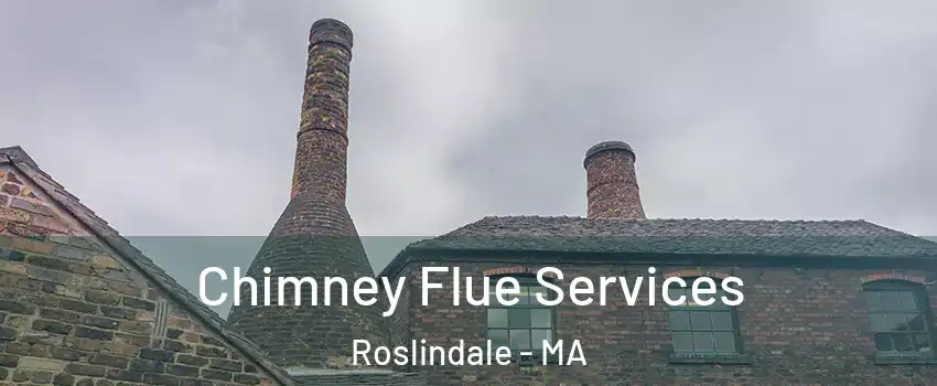 Chimney Flue Services Roslindale - MA