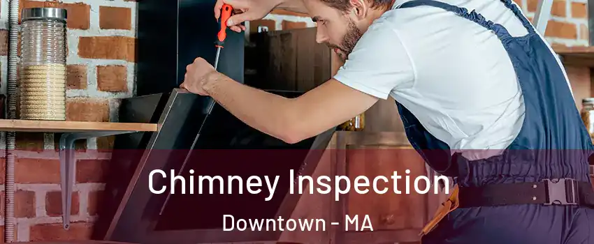 Chimney Inspection Downtown - MA