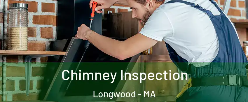 Chimney Inspection Longwood - MA