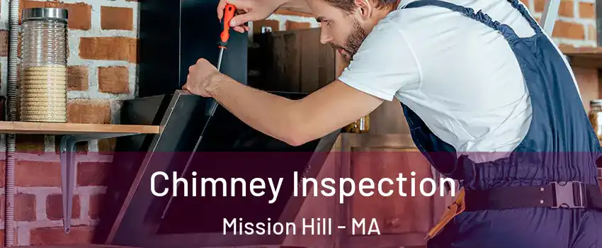 Chimney Inspection Mission Hill - MA