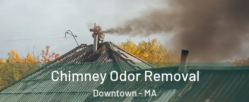 Chimney Odor Removal Downtown - MA