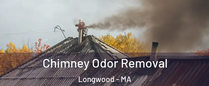 Chimney Odor Removal Longwood - MA