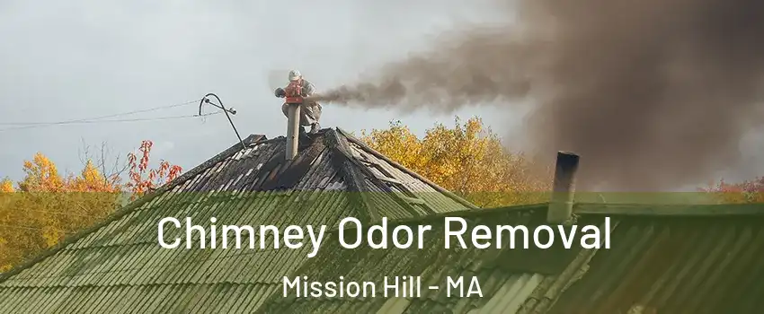 Chimney Odor Removal Mission Hill - MA