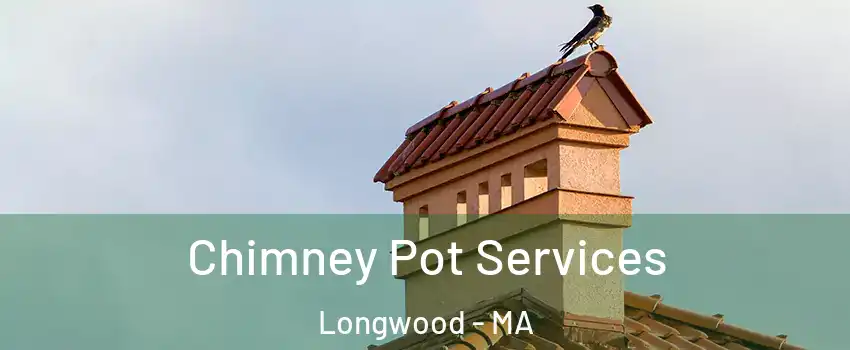 Chimney Pot Services Longwood - MA