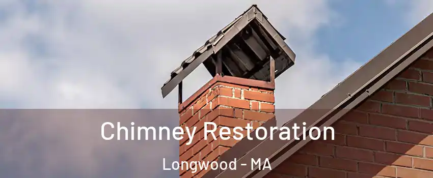 Chimney Restoration Longwood - MA