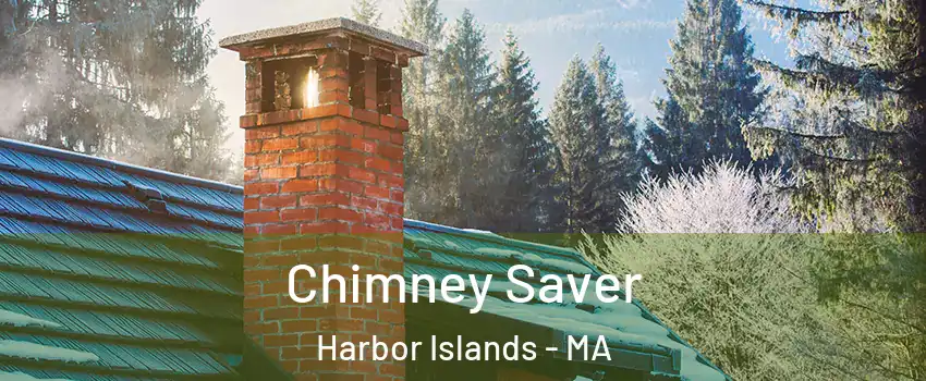 Chimney Saver Harbor Islands - MA