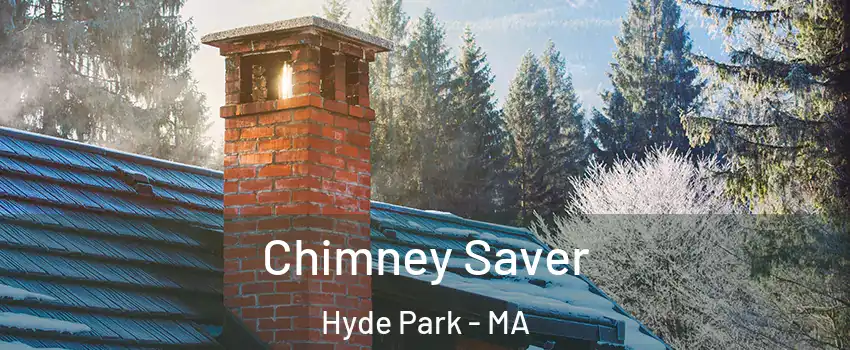 Chimney Saver Hyde Park - MA