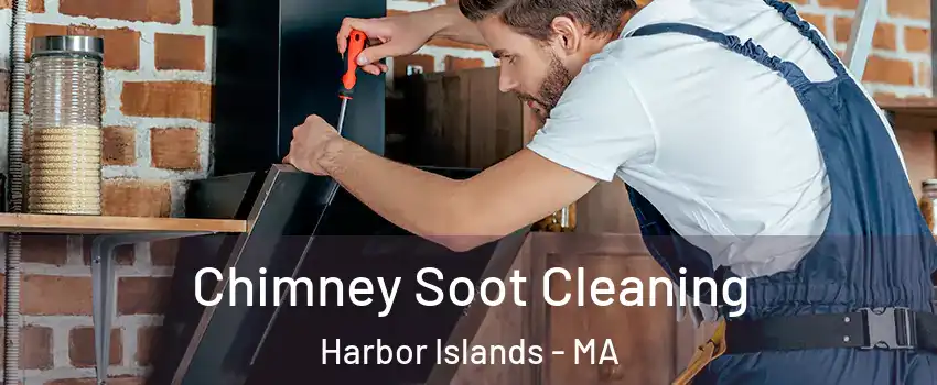 Chimney Soot Cleaning Harbor Islands - MA