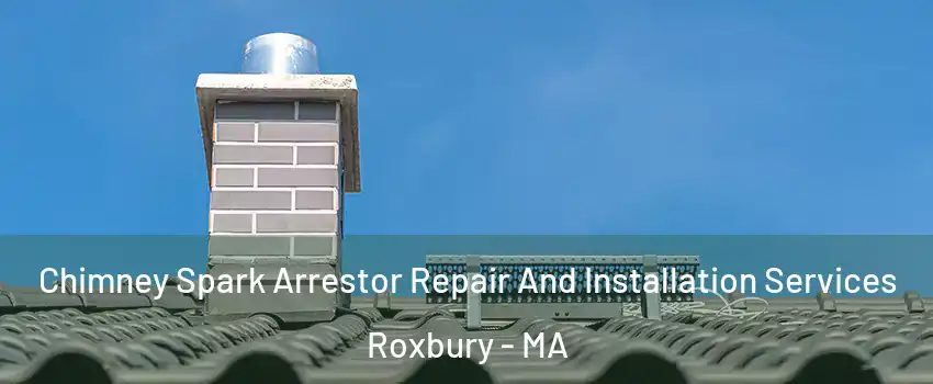 Chimney Spark Arrestor Repair And Installation Services Roxbury - MA