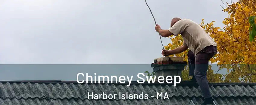 Chimney Sweep Harbor Islands - MA