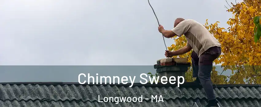 Chimney Sweep Longwood - MA