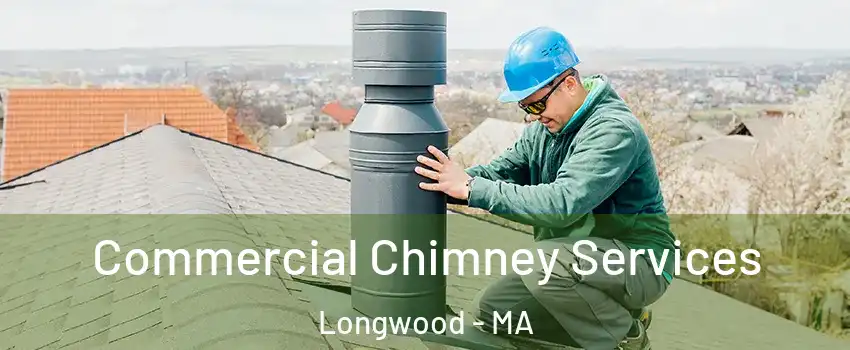 Commercial Chimney Services Longwood - MA