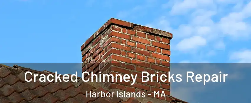 Cracked Chimney Bricks Repair Harbor Islands - MA