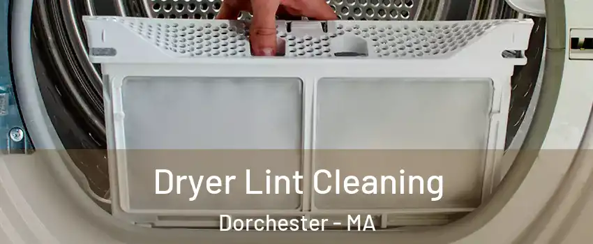 Dryer Lint Cleaning Dorchester - MA