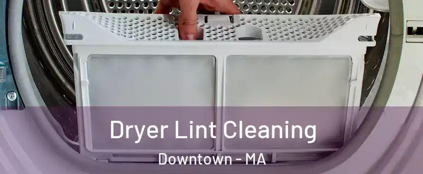 Dryer Lint Cleaning Downtown - MA